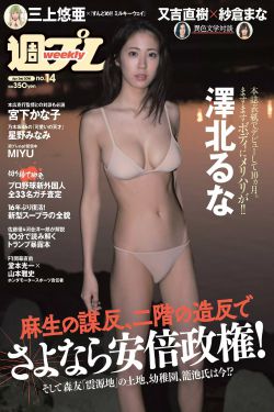 上门女婿叶辰小说