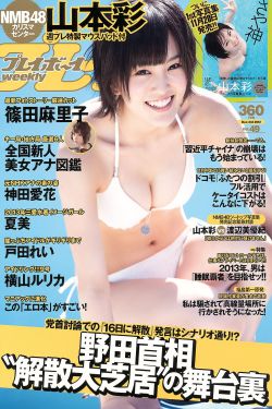 一杆长枪植入两扇门